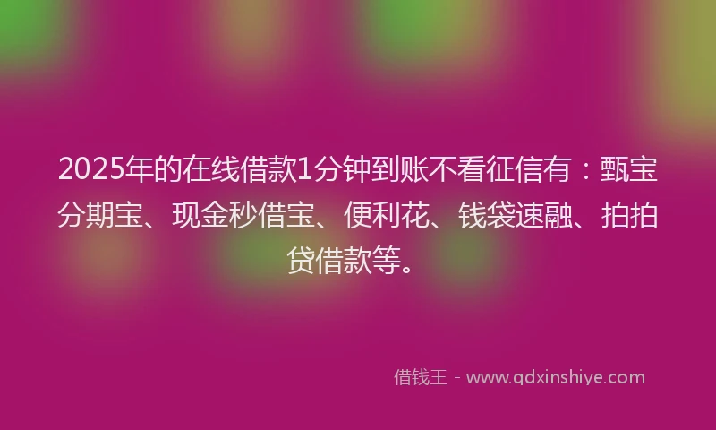 2025年的在线借款1分钟到账不看征信有：甄宝分期宝、现金秒借宝、便利花、钱袋速融、拍拍贷借款等。