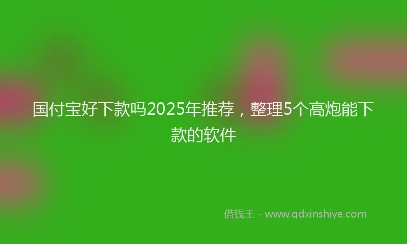国付宝好下款吗2025年推荐，整理5个高炮能下款的软件