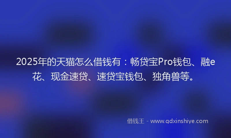 2025年的天猫怎么借钱有：畅贷宝Pro钱包、融e花、现金速贷、速贷宝钱包、独角兽等。