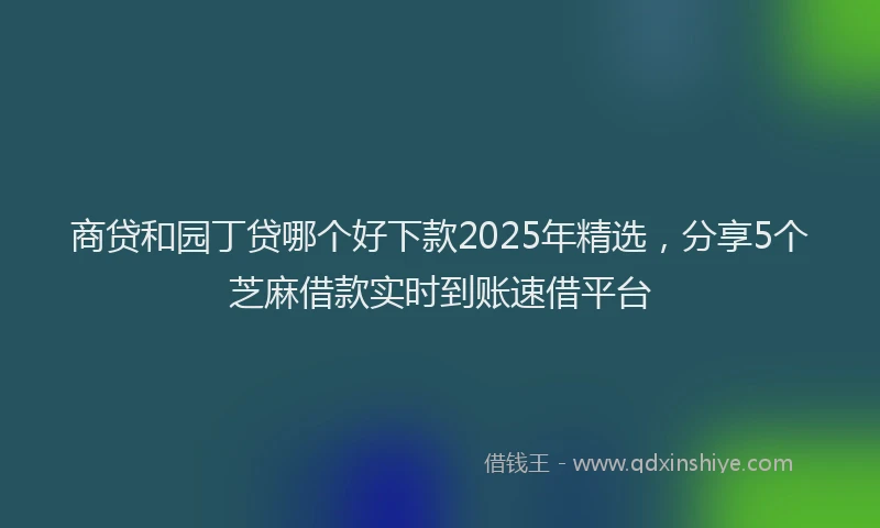 商贷和园丁贷哪个好下款2025年精选，分享5个芝麻借款实时到账速借平台
