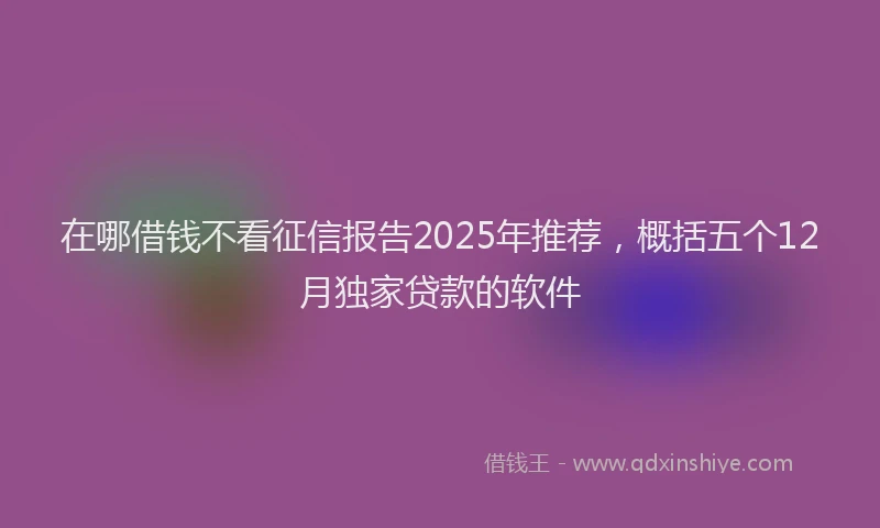 在哪借钱不看征信报告2025年推荐,概括五个12月独家贷款的软件