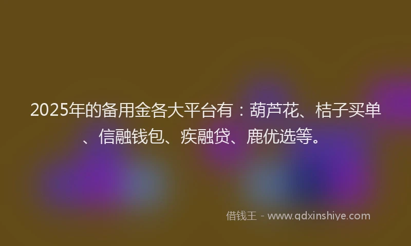 2025年的备用金各大平台有：葫芦花、桔子买单、信融钱包、疾融贷、鹿优选等。