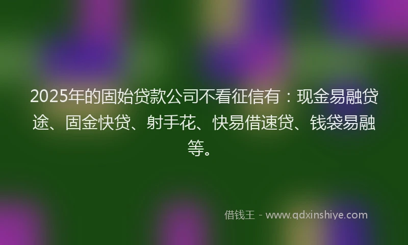 2025年的固始贷款公司不看征信有：现金易融贷途、固金快贷、射手花、快易借速贷、钱袋易融等。