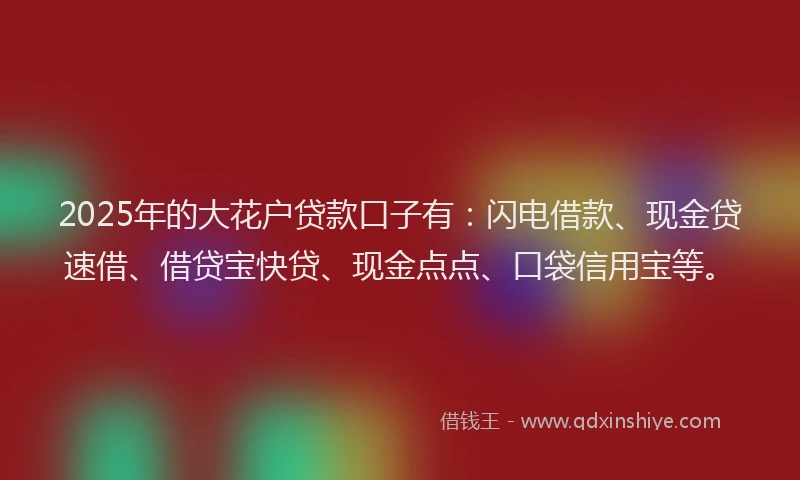 2025年的大花户贷款口子有：闪电借款、现金贷速借、借贷宝快贷、现金点点、口袋信用宝等。
