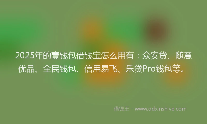 2025年的壹钱包借钱宝怎么用有：众安贷、随意优品、全民钱包、信用易飞、乐贷Pro钱包等。
