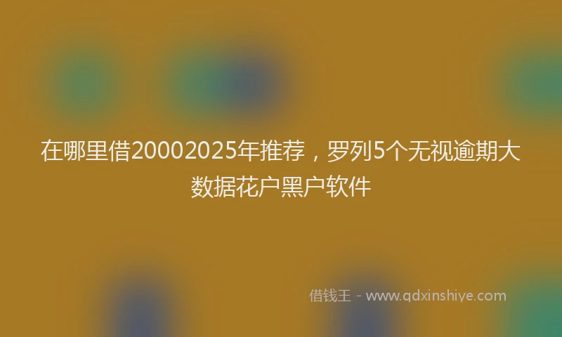 在哪里借20002025年推荐，罗列5个无视逾期大数据花户黑户软件