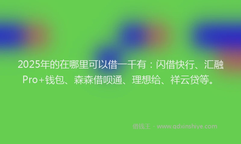 2025年的在哪里可以借一千有：闪借快行、汇融Pro+钱包、森森借呗通、理想给、祥云贷等。