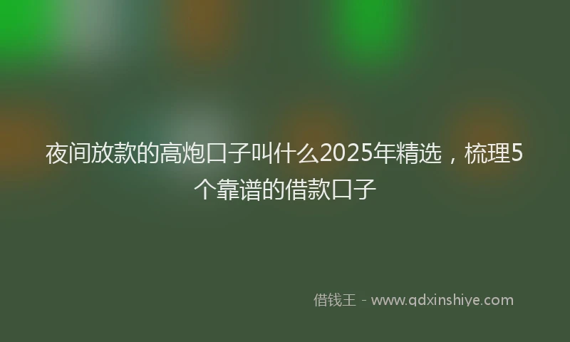 夜间放款的高炮口子叫什么2025年精选，梳理5个靠谱的借款口子