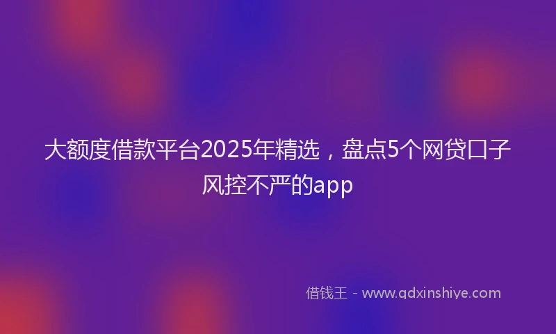 大额度借款平台2025年精选，盘点5个网贷口子风控不严的app