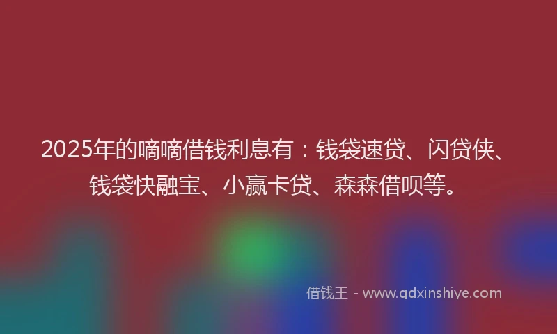 2025年的嘀嘀借钱利息有：钱袋速贷、闪贷侠、钱袋快融宝、小赢卡贷、森森借呗等。