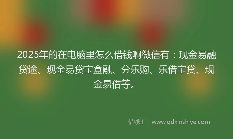 2025年的在电脑里怎么借钱啊微信有：现金易融贷途、现金易贷宝盒融、分乐购、乐借宝贷、现金易借等。