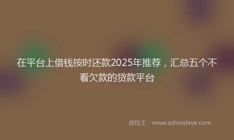 在平台上借钱按时还款2025年推荐，汇总五个不看欠款的贷款平台