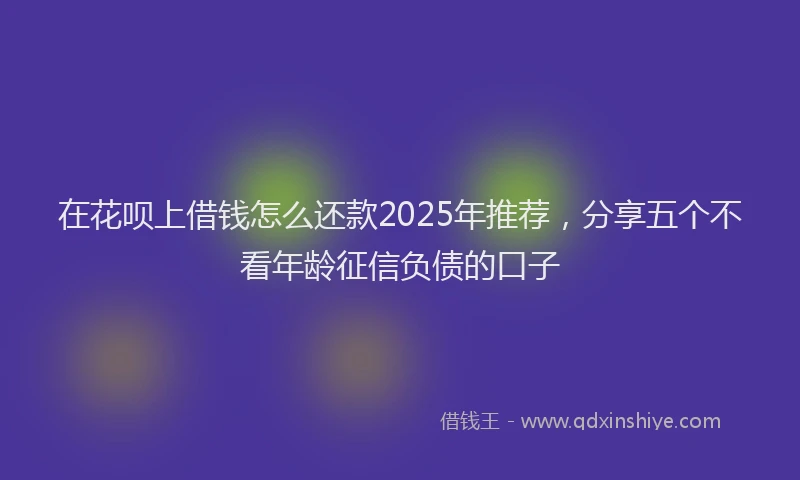 在花呗上借钱怎么还款2025年推荐，分享五个不看年龄征信负债的口子