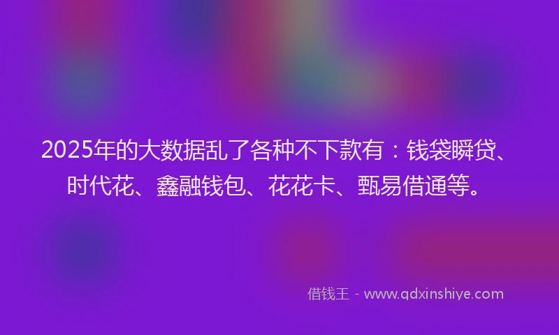 2025年的大数据乱了各种不下款有：钱袋瞬贷、时代花、鑫融钱包、花花卡、甄易借通等。