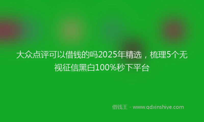 大众点评可以借钱的吗2025年精选,梳理5个无视征信黑白100%秒下平台