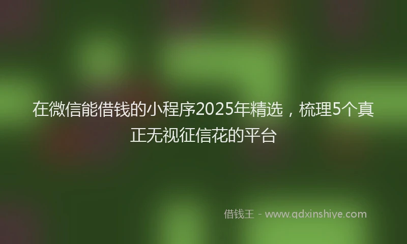 在微信能借钱的小程序2025年精选,梳理5个真正无视征信花的平台