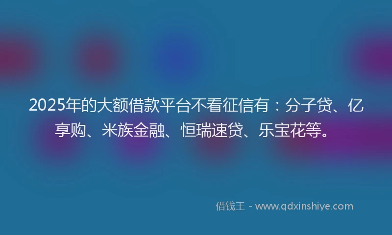 2025年的大额借款平台不看征信有：分子贷、亿享购、米族金融、恒瑞速贷、乐宝花等。
