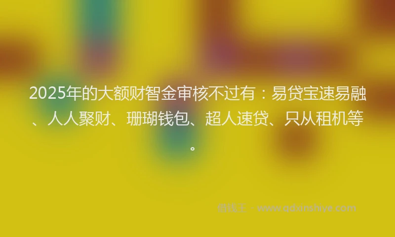 2025年的大额财智金审核不过有：易贷宝速易融、人人聚财、珊瑚钱包、超人速贷、只从租机等。