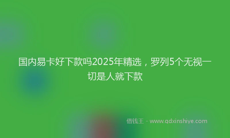 国内易卡好下款吗2025年精选，罗列5个无视一切是人就下款
