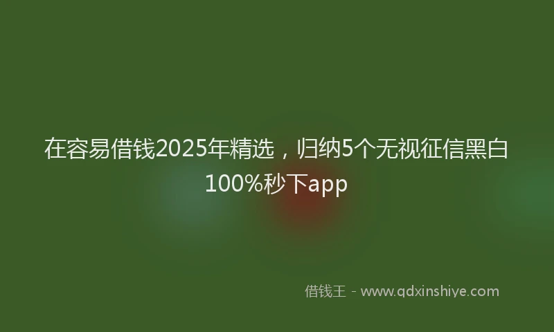 在容易借钱2025年精选，归纳5个无视征信黑白100%秒下app