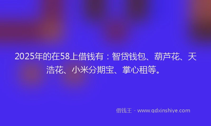 2025年的在58上借钱有：智贷钱包、葫芦花、天浩花、小米分期宝、掌心租等。