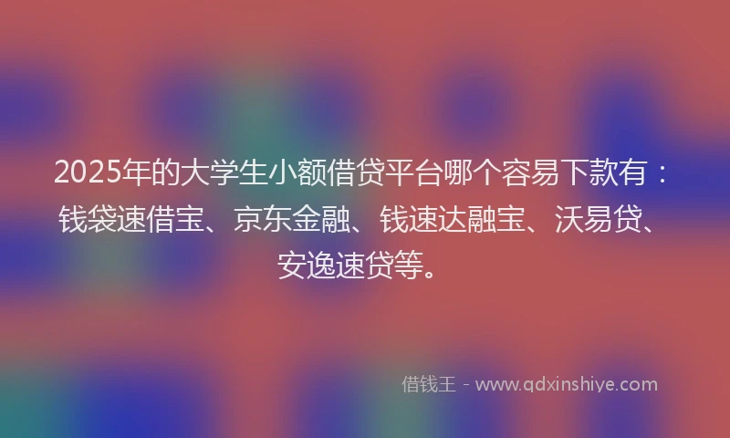 2025年的大学生小额借贷平台哪个容易下款有：钱袋速借宝、京东金融、钱速达融宝、沃易贷、安逸速贷等。