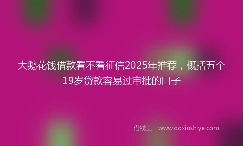 大鹅花钱借款看不看征信2025年推荐，概括五个19岁贷款容易过审批的口子