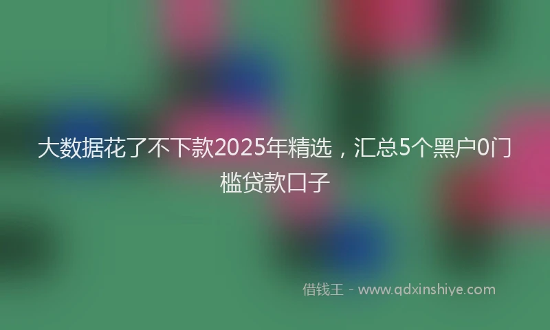 大数据花了不下款2025年精选，汇总5个黑户0门槛贷款口子