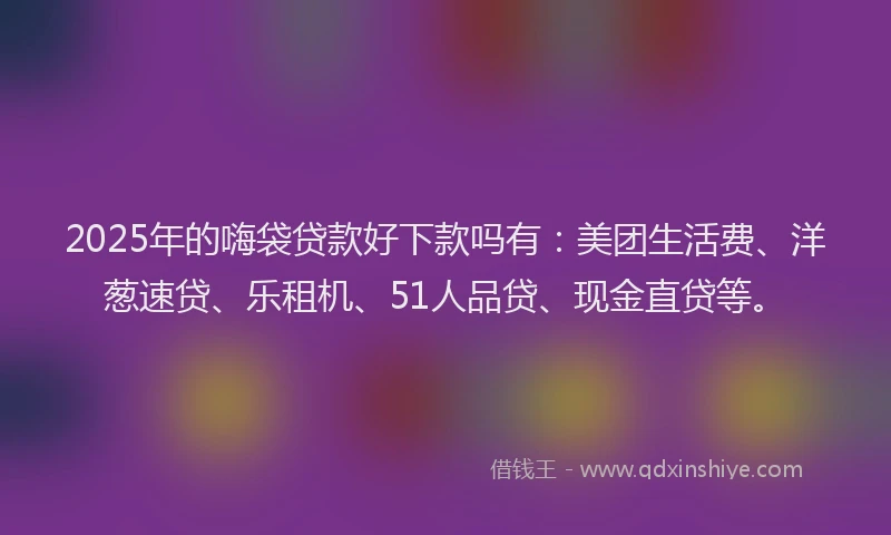 2025年的嗨袋贷款好下款吗有：美团生活费、洋葱速贷、乐租机、51人品贷、现金直贷等。