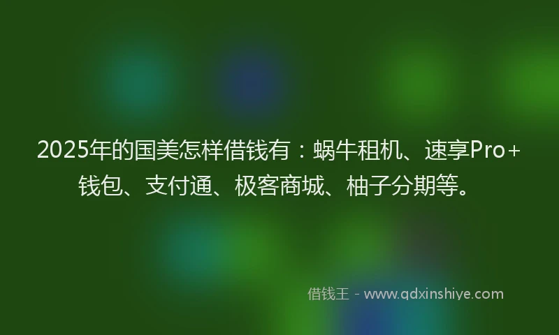 2025年的国美怎样借钱有：蜗牛租机、速享Pro+钱包、支付通、极客商城、柚子分期等。