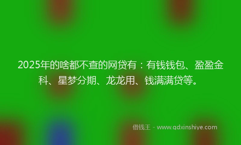 2025年的啥都不查的网贷有：有钱钱包、盈盈金科、星梦分期、龙龙用、钱满满贷等。