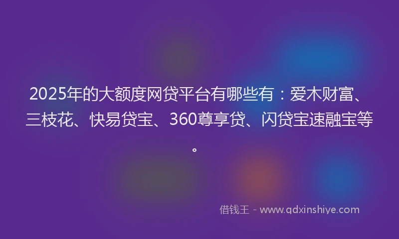 2025年的大额度网贷平台有哪些有：爱木财富、三枝花、快易贷宝、360尊享贷、闪贷宝速融宝等。