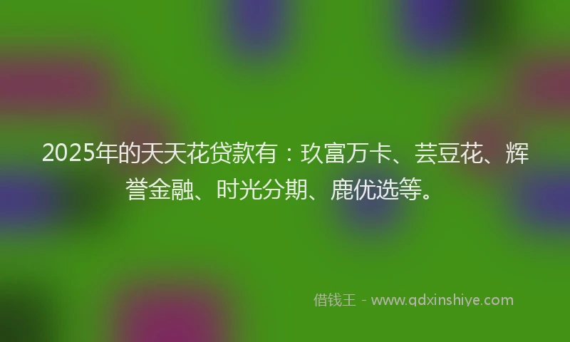 2025年的天天花贷款有：玖富万卡、芸豆花、辉誉金融、时光分期、鹿优选等。