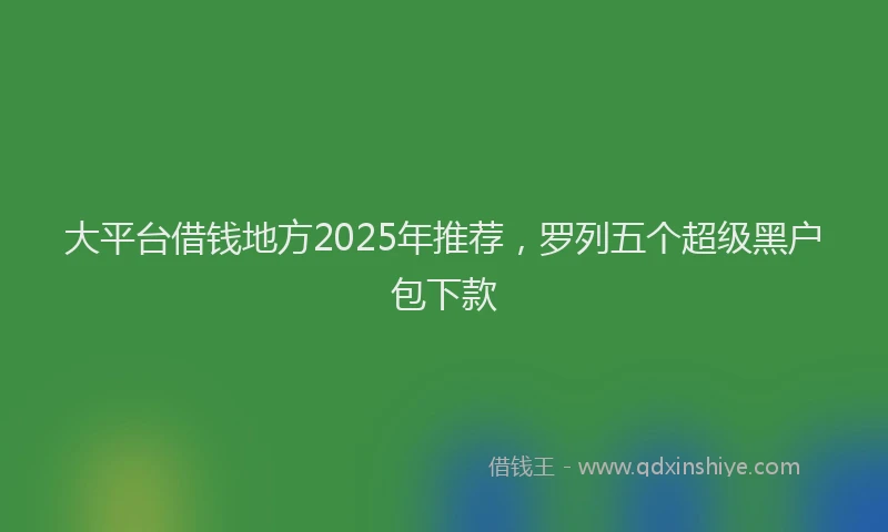 大平台借钱地方2025年推荐，罗列五个超级黑户包下款