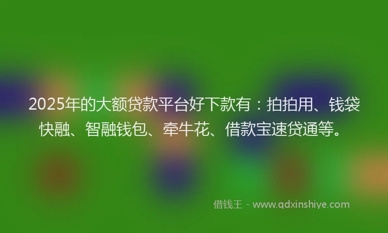 2025年的大额贷款平台好下款有：拍拍用、钱袋快融、智融钱包、牵牛花、借款宝速贷通等。