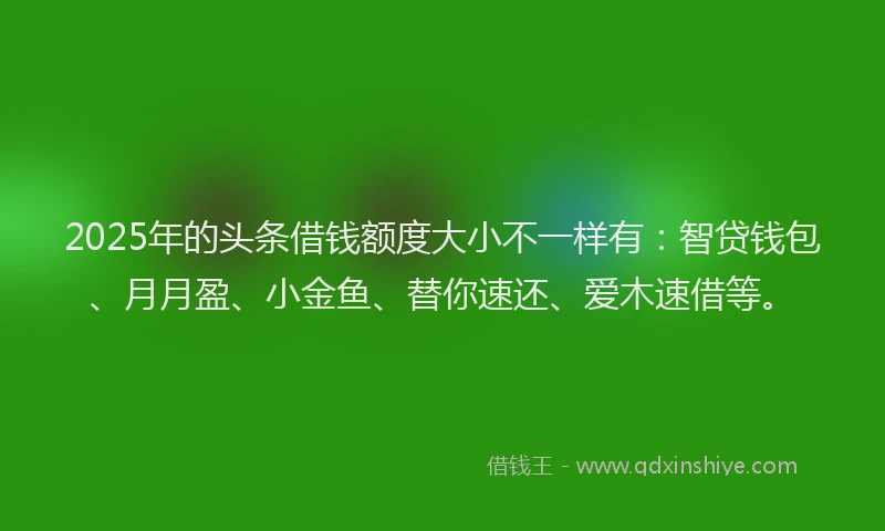 2025年的头条借钱额度大小不一样有：智贷钱包、月月盈、小金鱼、替你速还、爱木速借等。