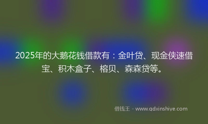 2025年的大鹅花钱借款有：金叶贷、现金侠速借宝、积木盒子、榕贝、森森贷等。