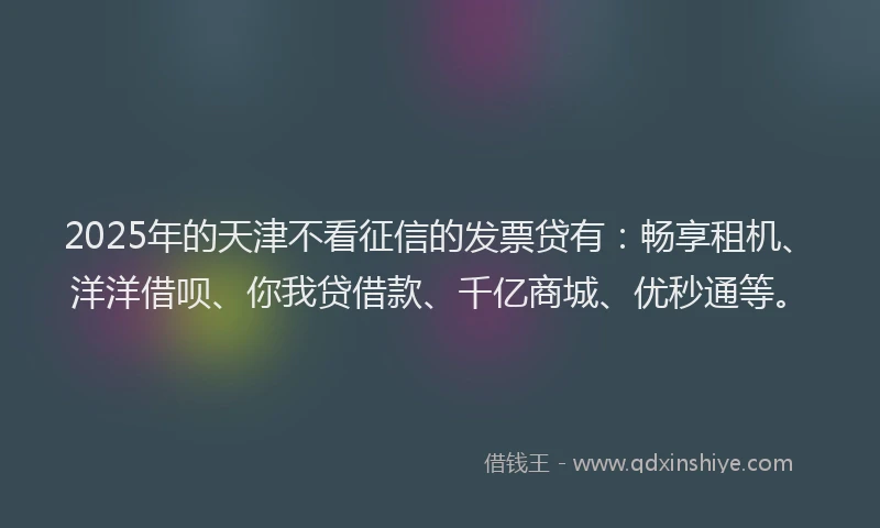 2025年的天津不看征信的发票贷有：畅享租机、洋洋借呗、你我贷借款、千亿商城、优秒通等。