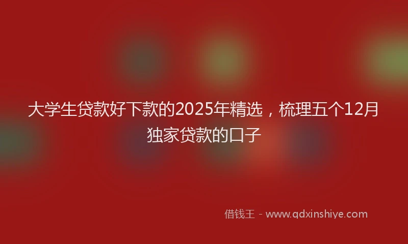 大学生贷款好下款的2025年精选，梳理五个12月独家贷款的口子