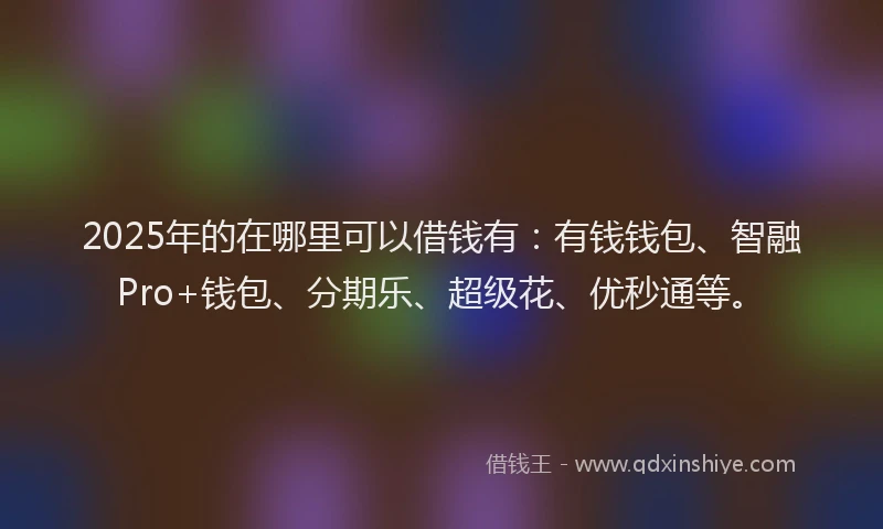 2025年的在哪里可以借钱有：有钱钱包、智融Pro+钱包、分期乐、超级花、优秒通等。