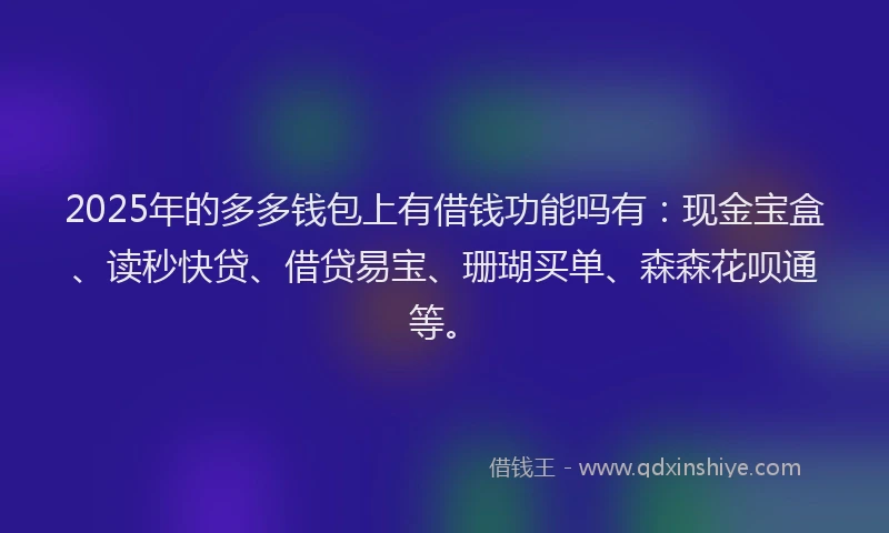 2025年的多多钱包上有借钱功能吗有：现金宝盒、读秒快贷、借贷易宝、珊瑚买单、森森花呗通等。