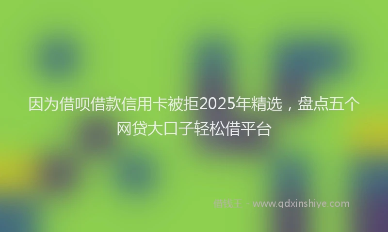 因为借呗借款信用卡被拒2025年精选，盘点五个网贷大口子轻松借平台
