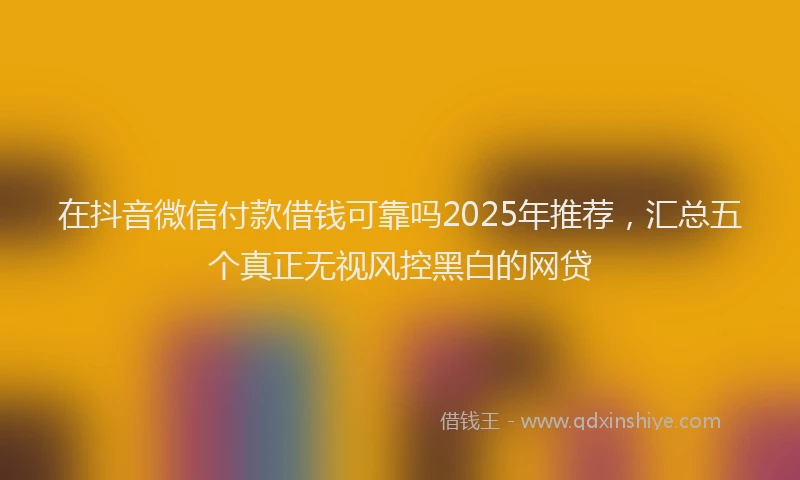 在抖音微信付款借钱可靠吗2025年推荐，汇总五个真正无视风控黑白的网贷