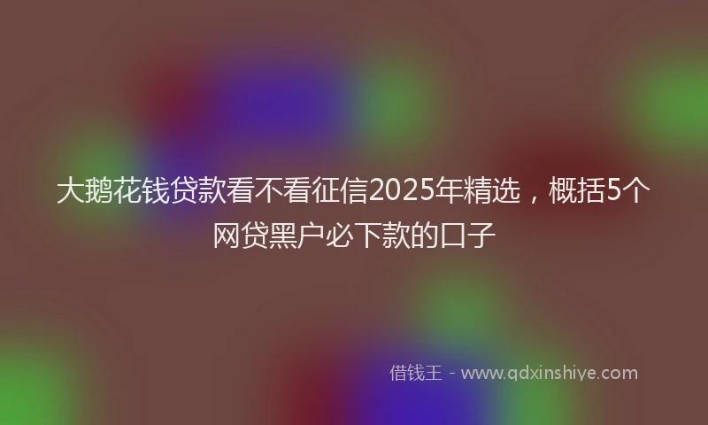 大鹅花钱贷款看不看征信2025年精选，概括5个网贷黑户必下款的口子