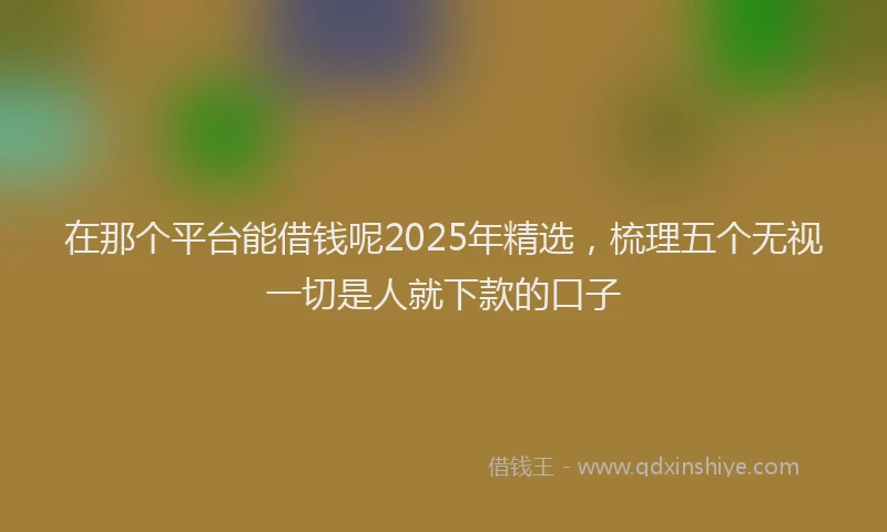 在那个平台能借钱呢2025年精选，梳理五个无视一切是人就下款的口子