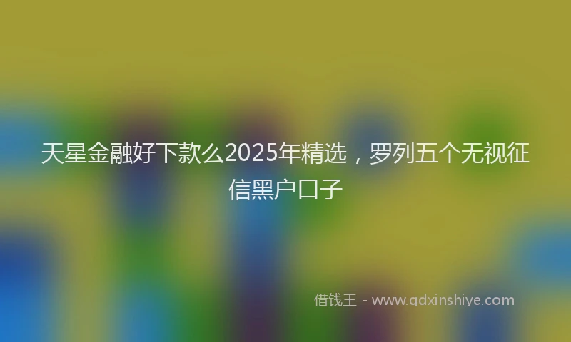 天星金融好下款么2025年精选，罗列五个无视征信黑户口子