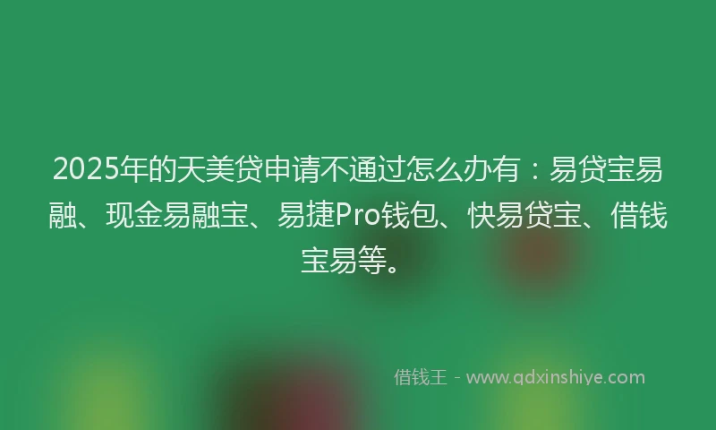 2025年的天美贷申请不通过怎么办有：易贷宝易融、现金易融宝、易捷Pro钱包、快易贷宝、借钱宝易等。