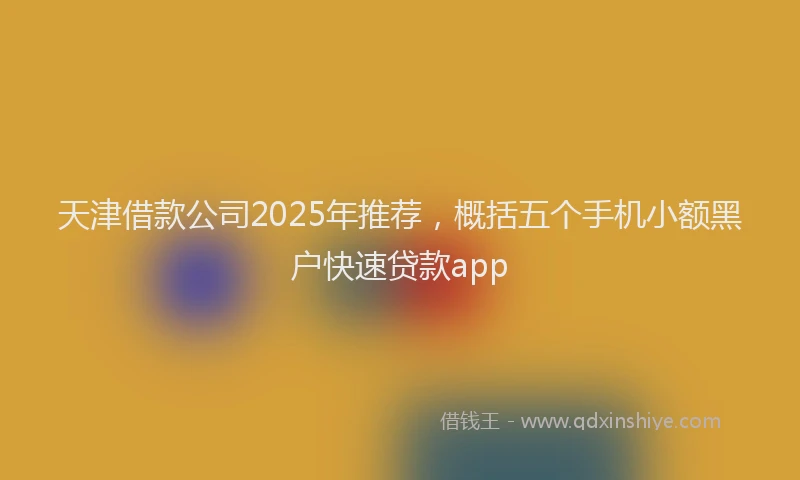 天津借款公司2025年推荐，概括五个手机小额黑户快速贷款app