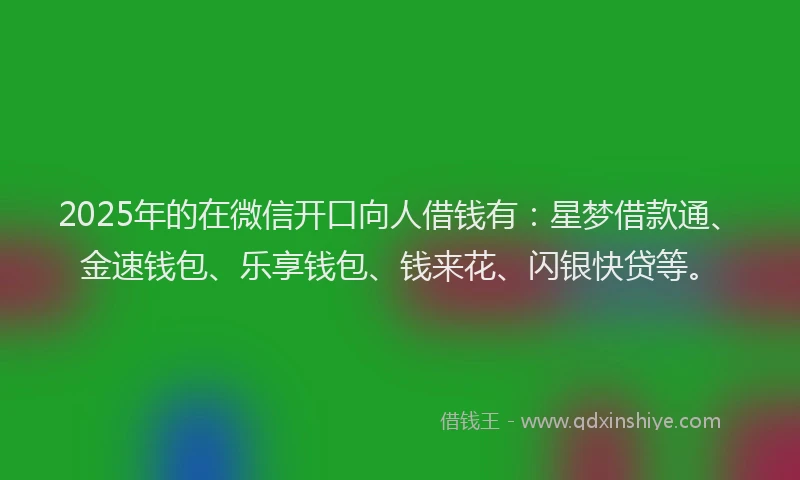 2025年的在微信开口向人借钱有：星梦借款通、金速钱包、乐享钱包、钱来花、闪银快贷等。