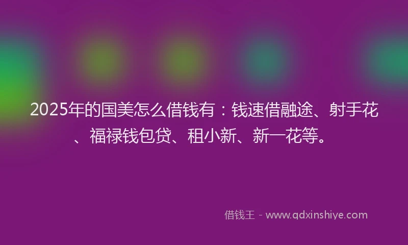 2025年的国美怎么借钱有：钱速借融途、射手花、福禄钱包贷、租小新、新一花等。